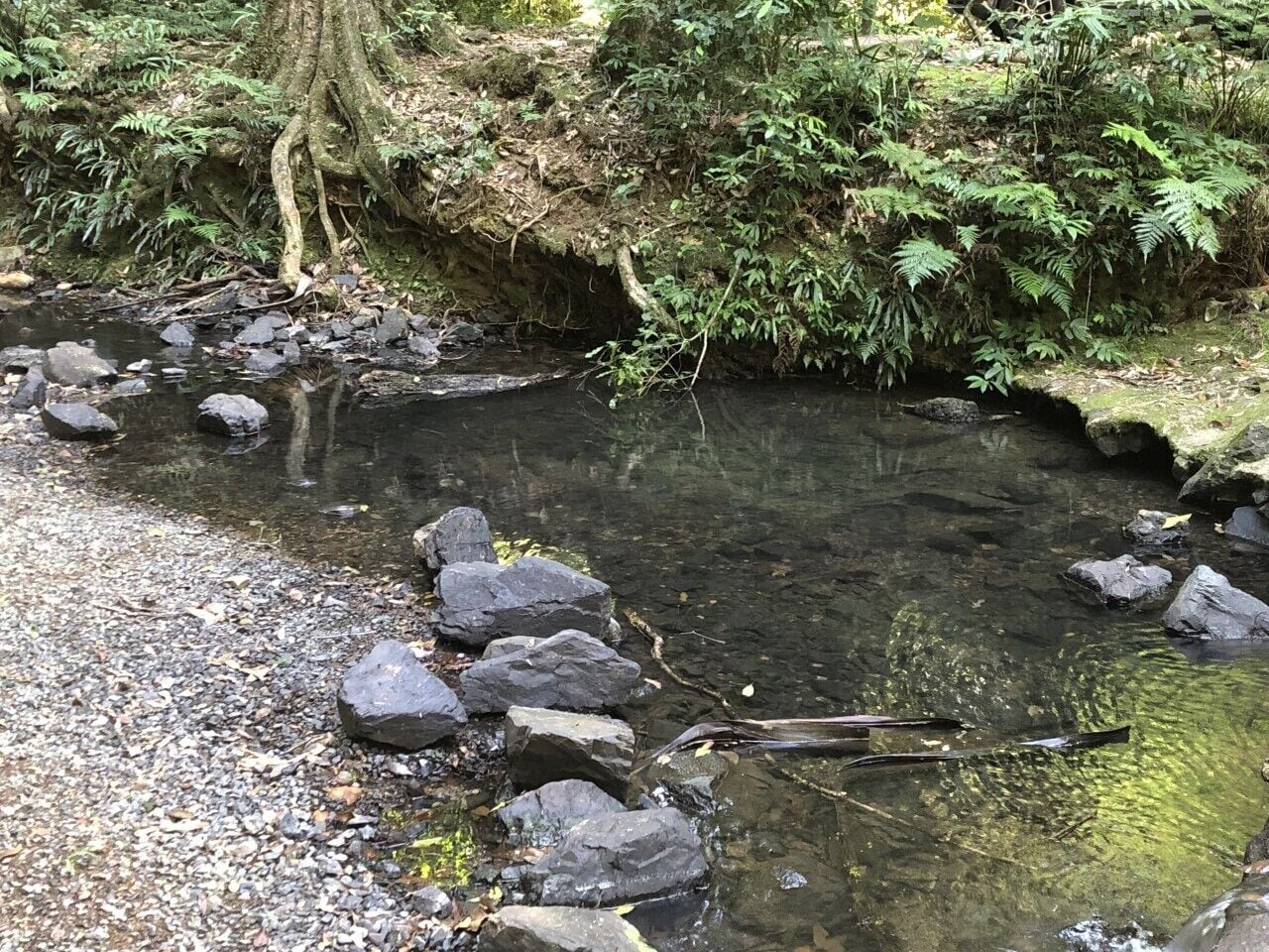 Feel at Home Away From Home - Quiet Area, Complimentary Wifi, Netflix