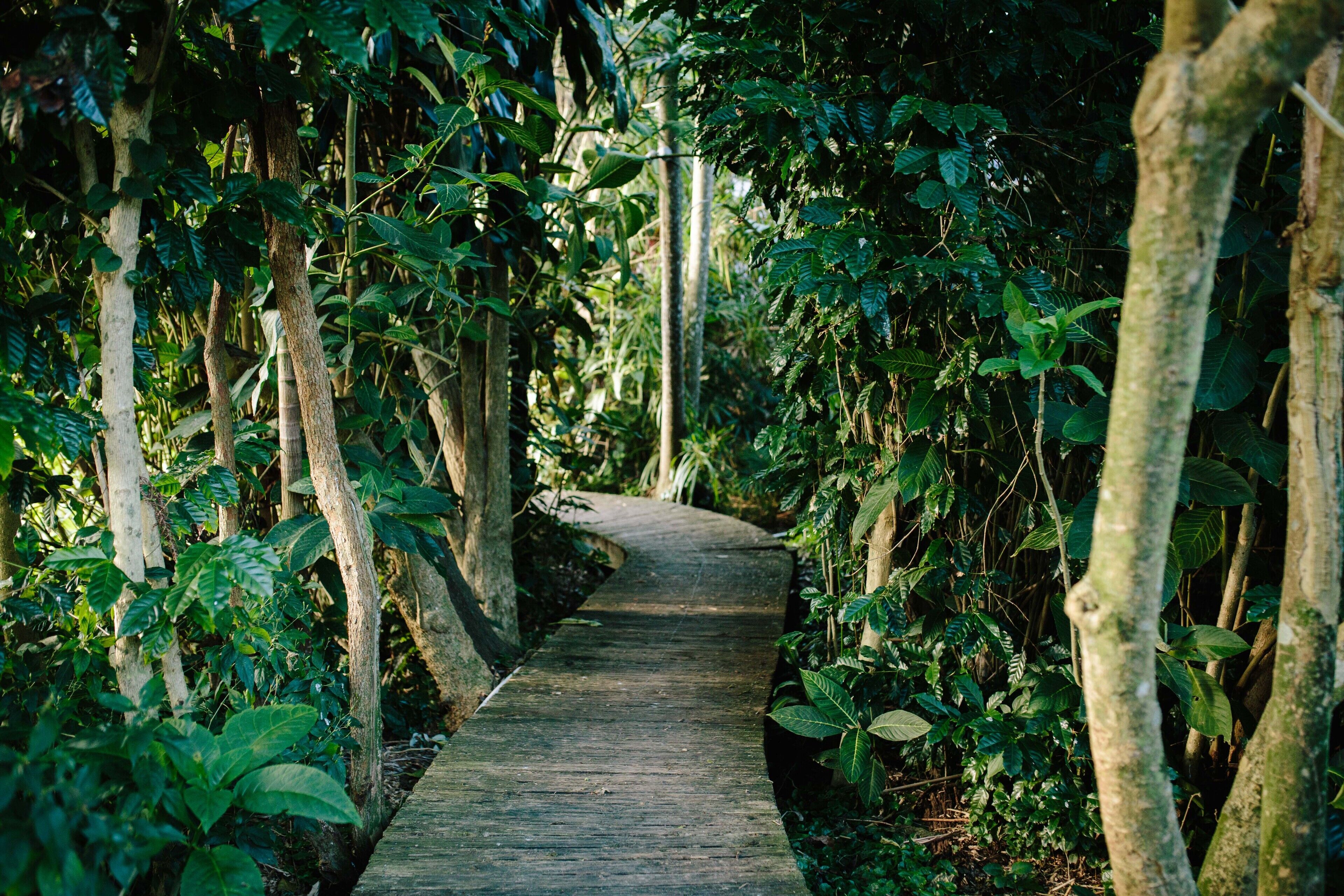 on the Bellinger River