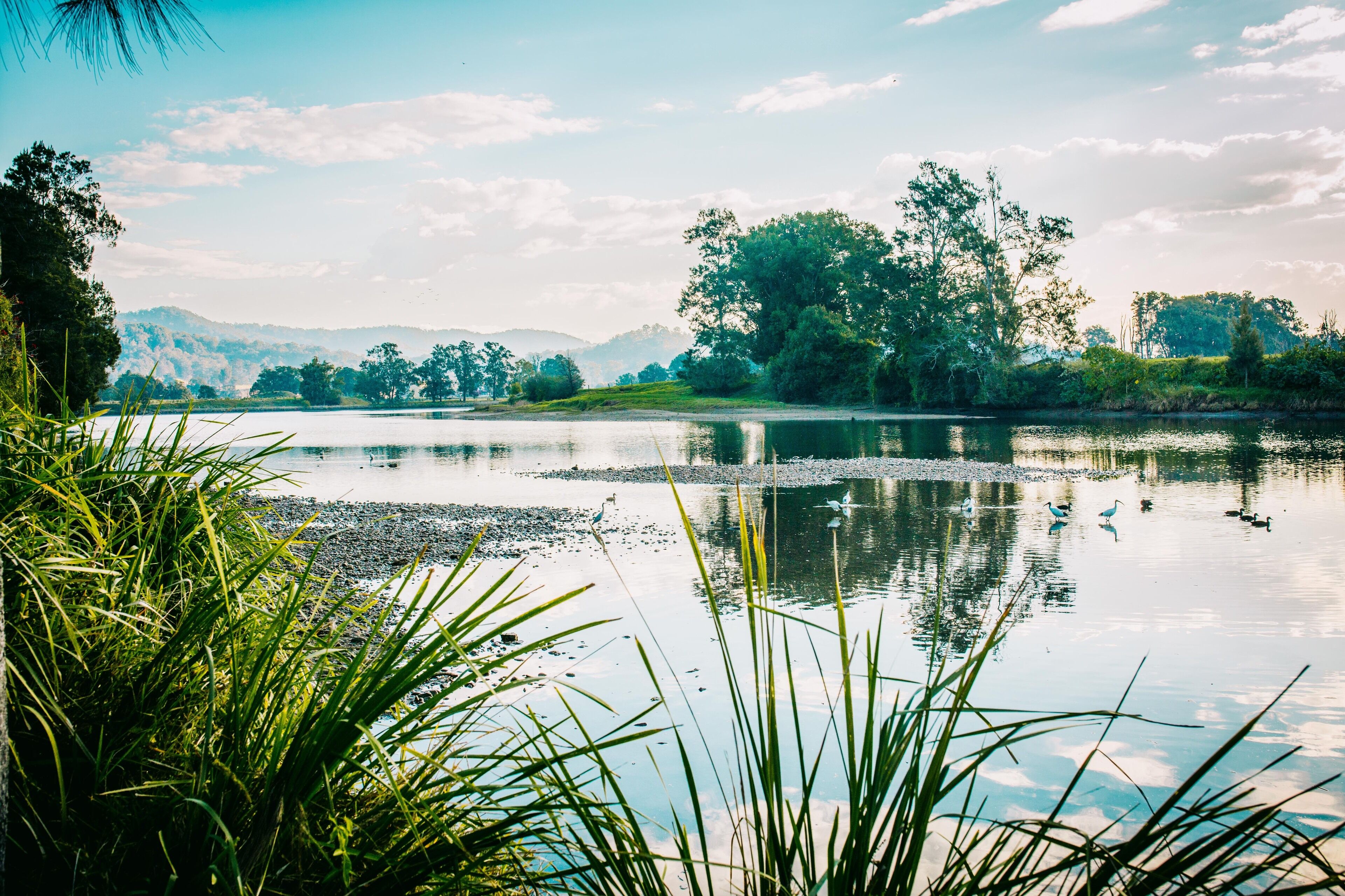 on the Bellinger River