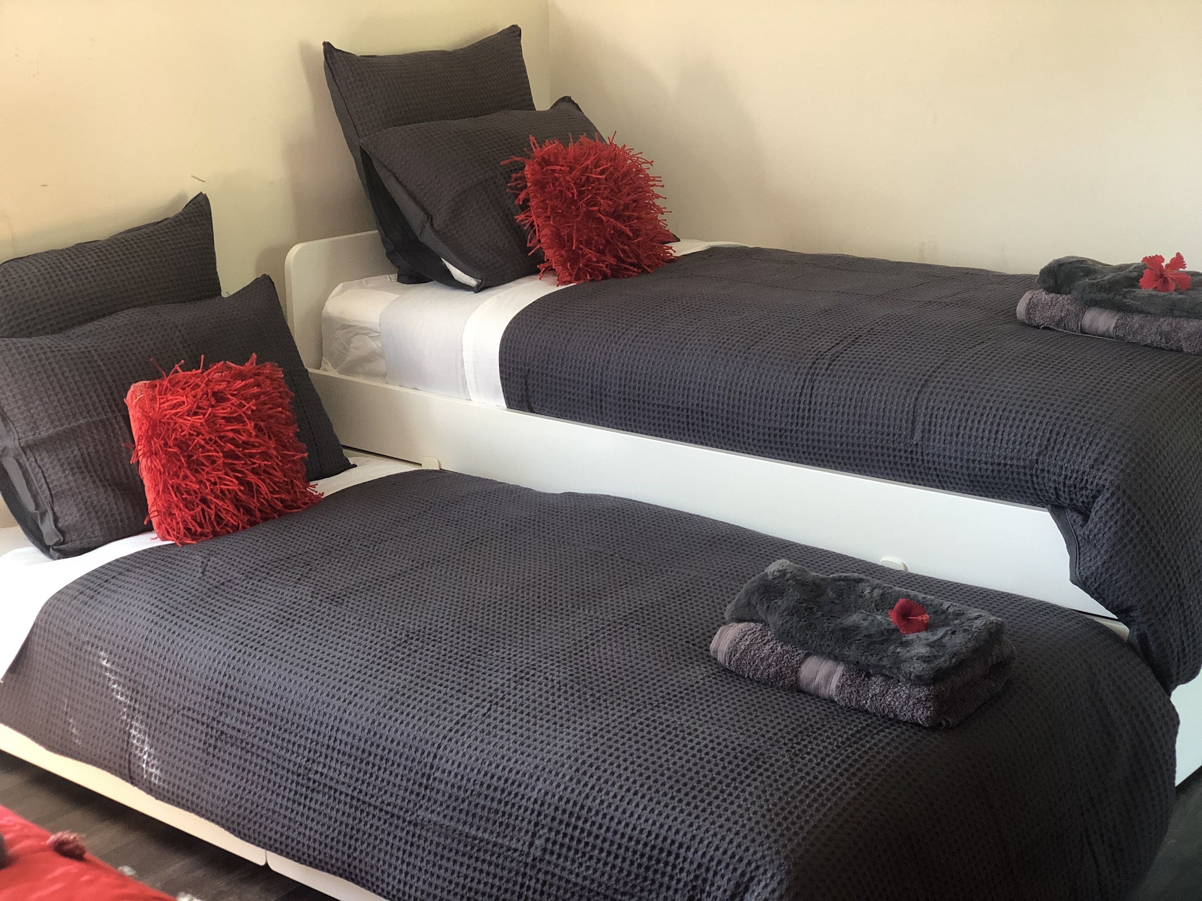 on the Bellinger River