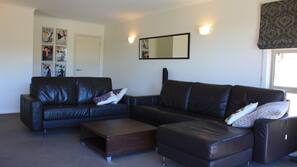 Flat-screen TV, fireplace, DVD player