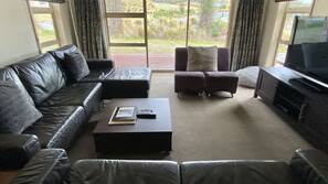 Flat-screen TV, fireplace, DVD player