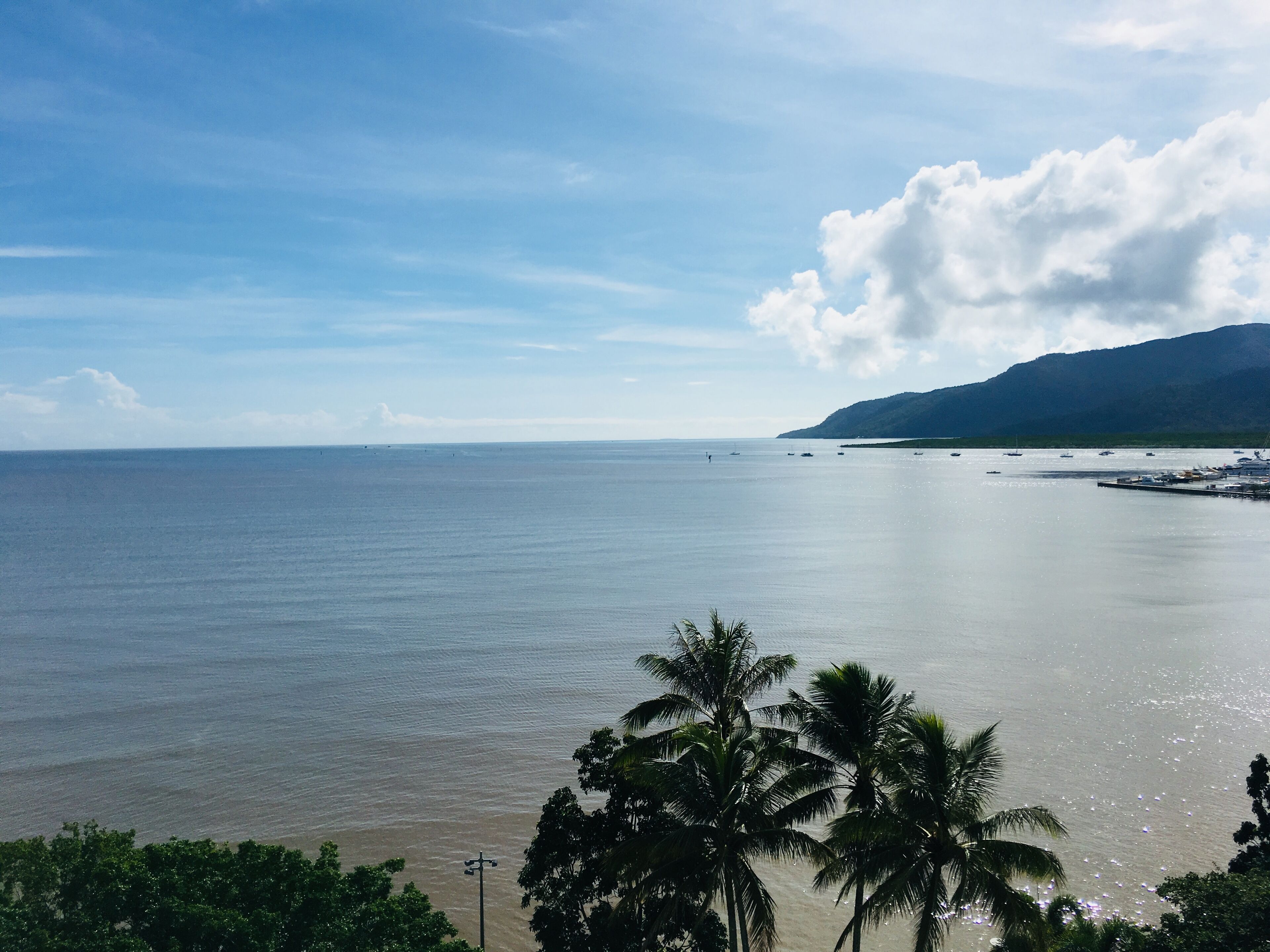 ?(8) Spectacular Ocean Views in City 2bdrm 2bath?