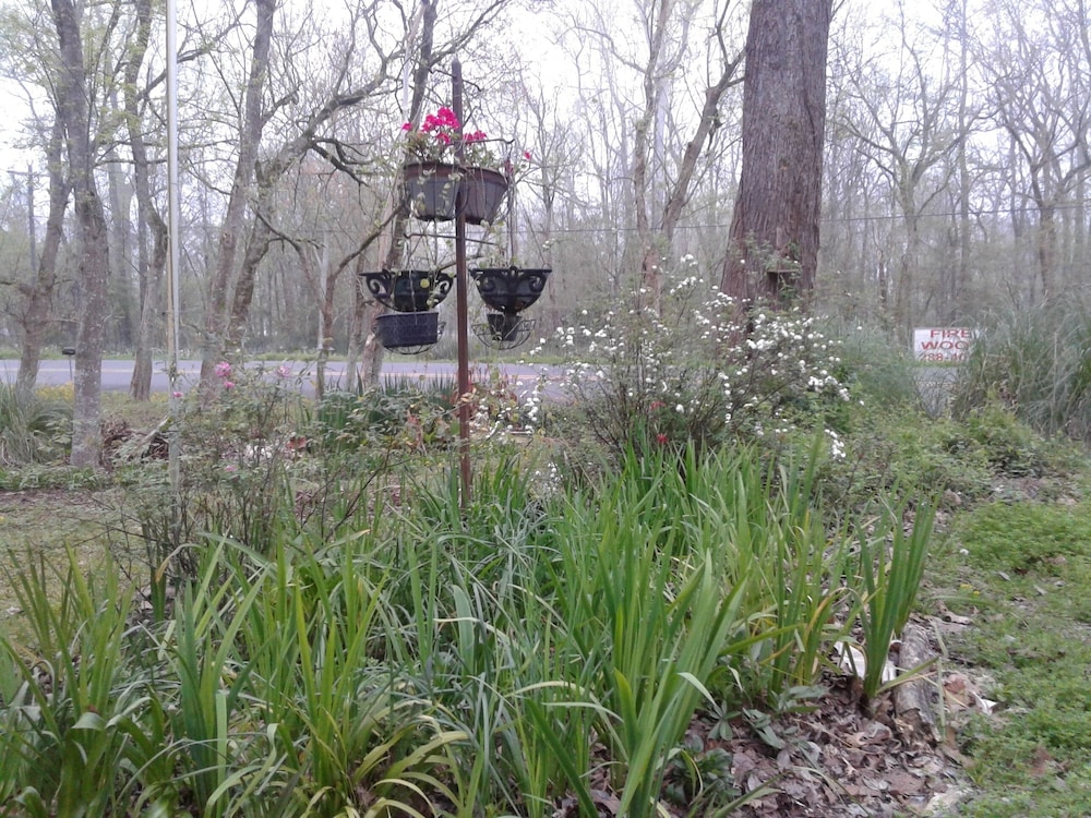 Atchafalaya Basin Camp in the Heart of the Largest Swamp in the USA! in