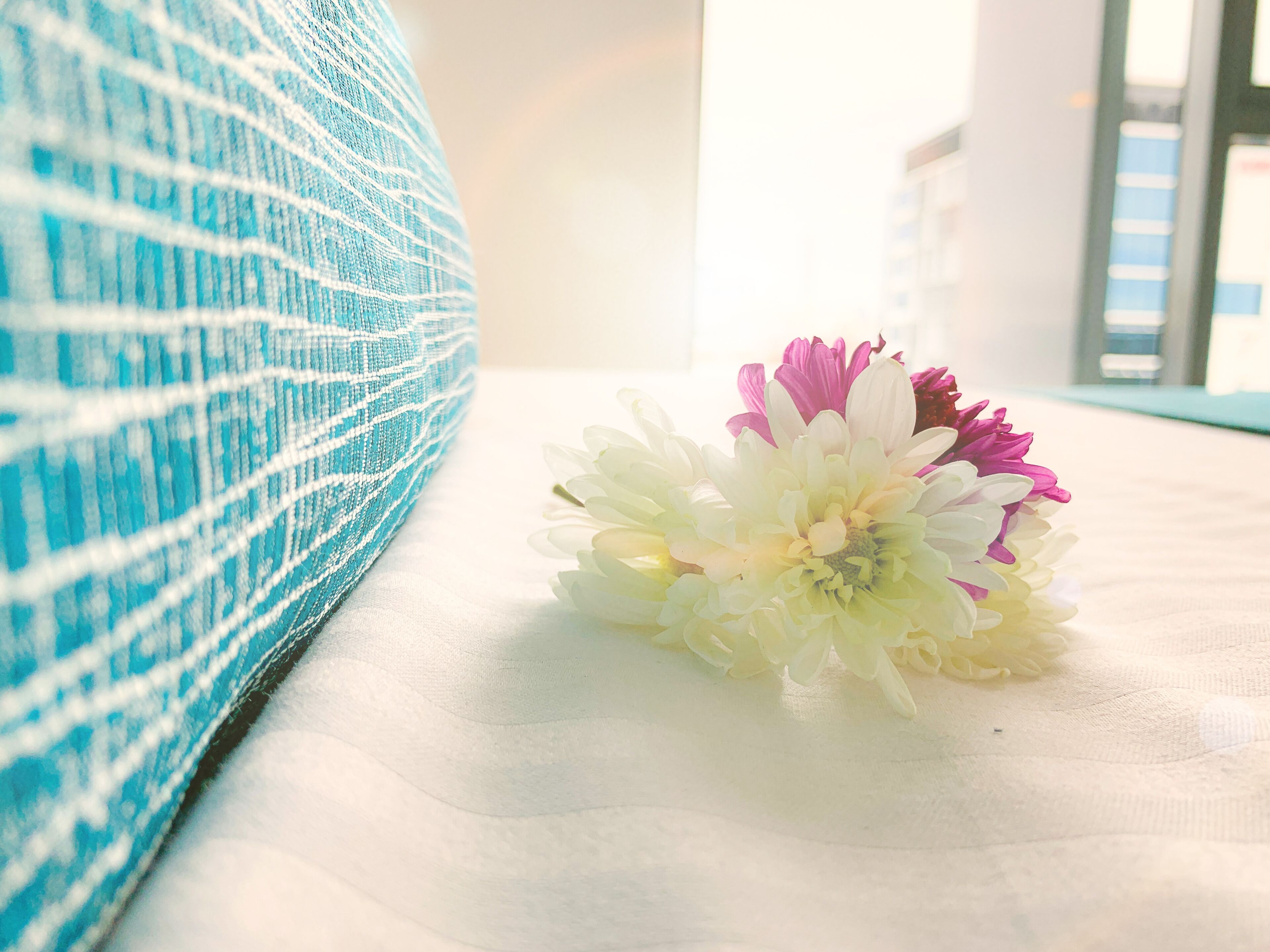 Apartments on Connor