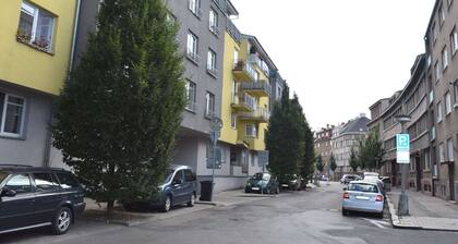 Modern Apartment in Podebrady Near River