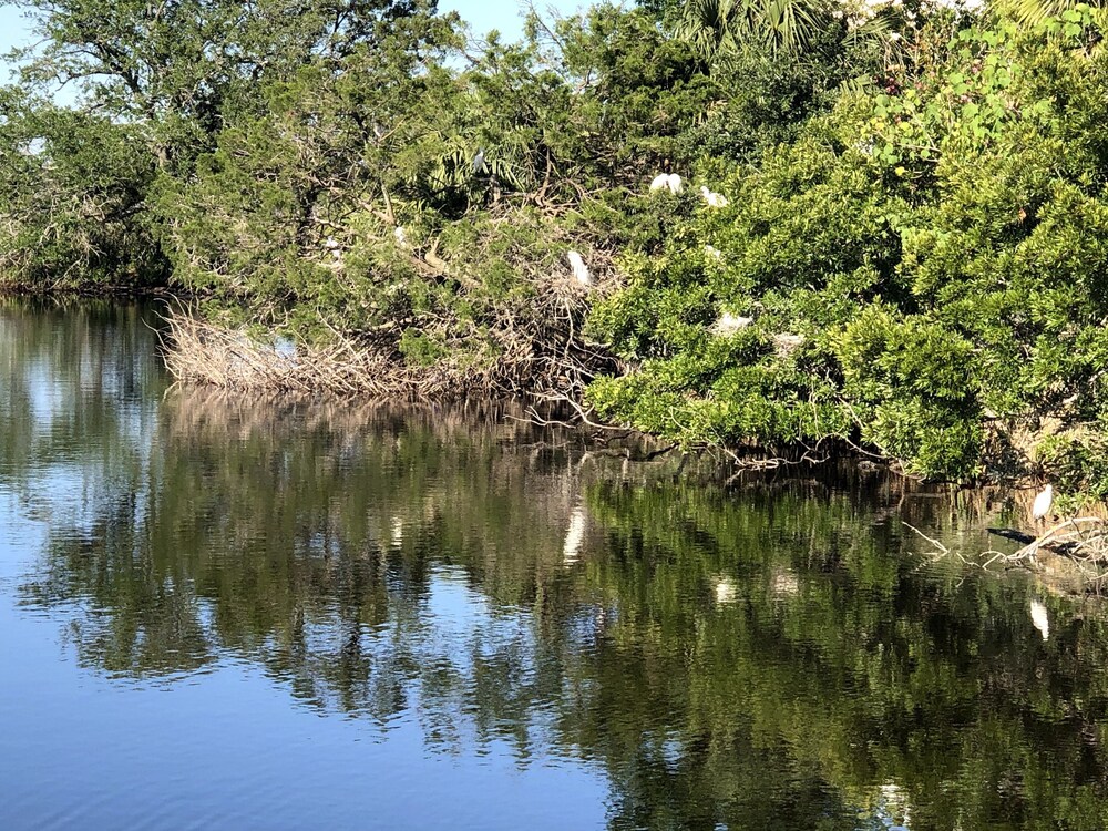  2 Golf Carts Included, River and Marsh Views, Beautiful Sunsets