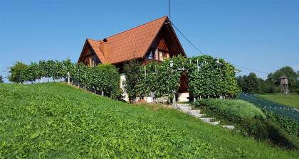Vineyard cottage Berus