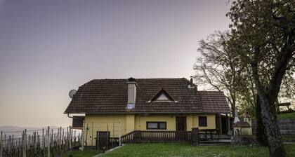 Vineyard Cottage Hocevar