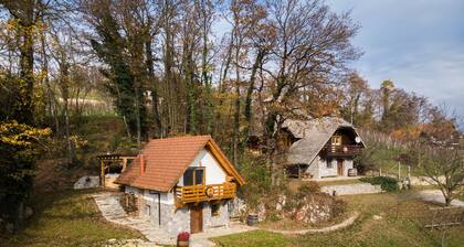Vineyard cottage Rataj 2