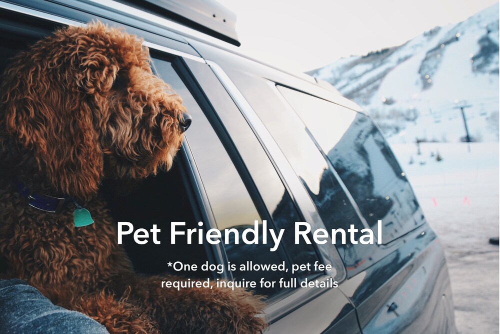 🌄⛱️Pet Friendly End Unit | Same Day Bookings | Townies | 96 Hour Cancel | EPA Cleaning | 620