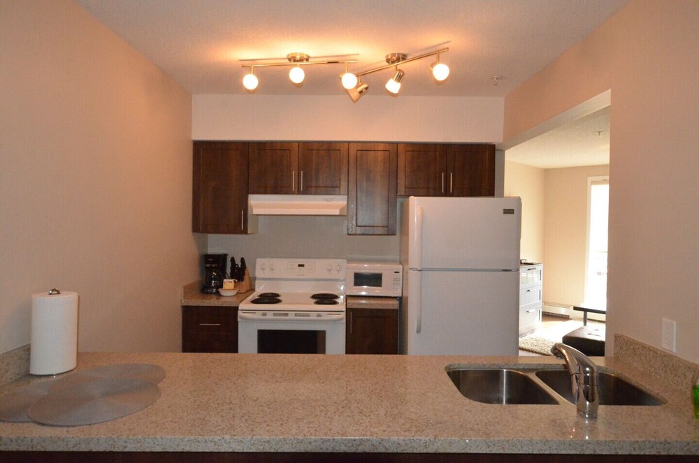 Dog Friendly Bedroom Apartments 2025