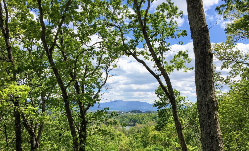 Shenandoah Vista WIFI / pet friendly Page County Vrbo