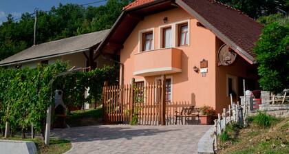 Vineyard cottage Tramte