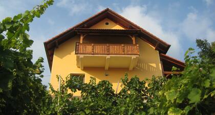 Vineyard cottage Ucman