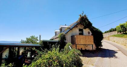 Vineyard cottage Verček