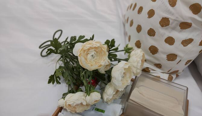 明通行商旅 台中 Expedia Com 明通行商旅 台中 Expedia Com