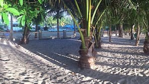 On the beach