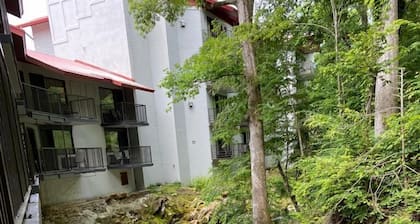 Bear Creek Inn