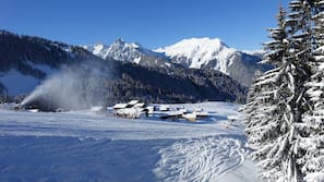 Wintersport/Ski
