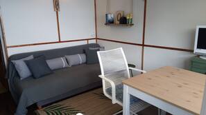 Fernseher, Bücher