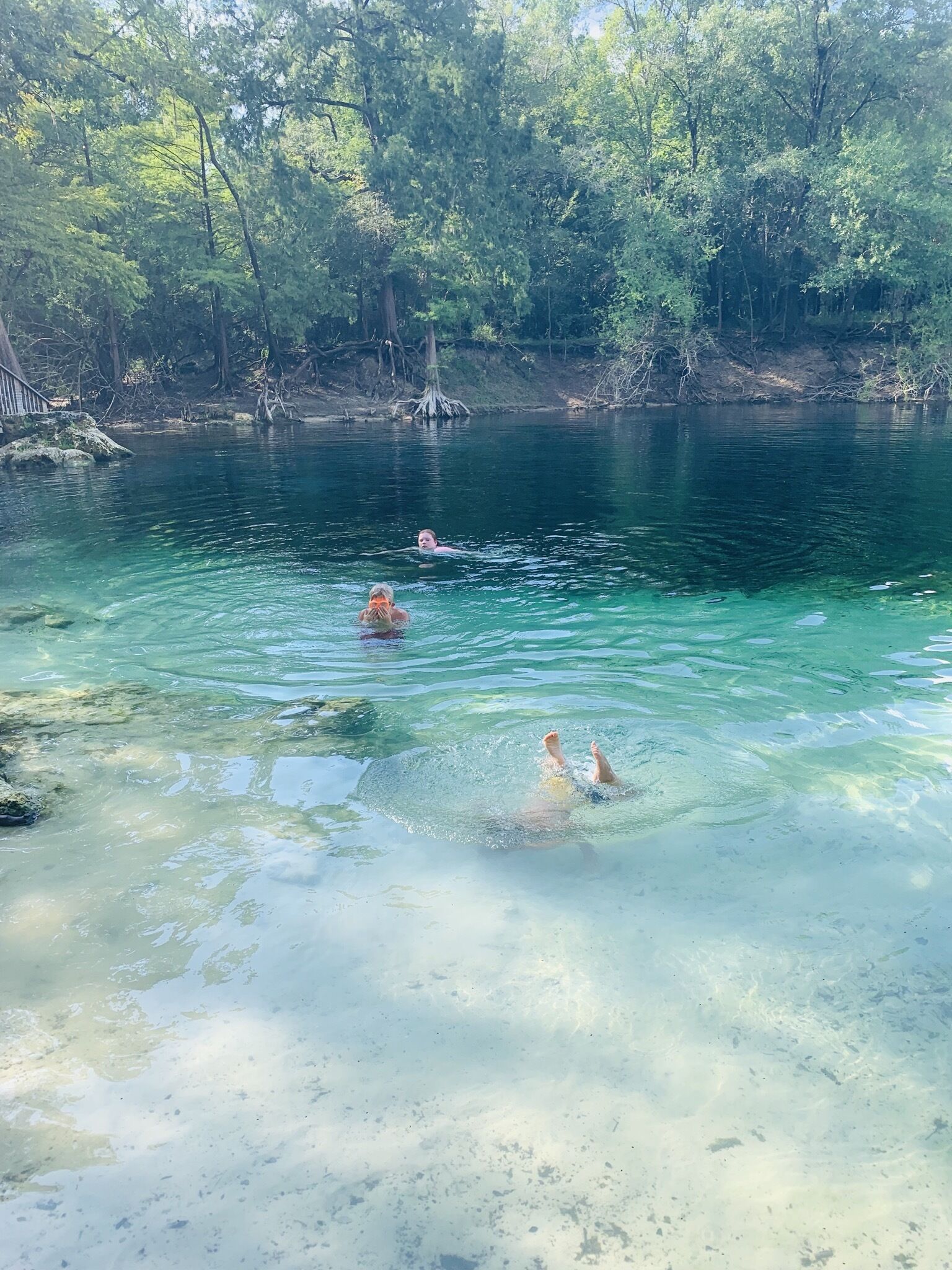 Suwannee River , Troy Springs and Ruth Springs Right by . Close to Itchetucknee in Lake City, United States
