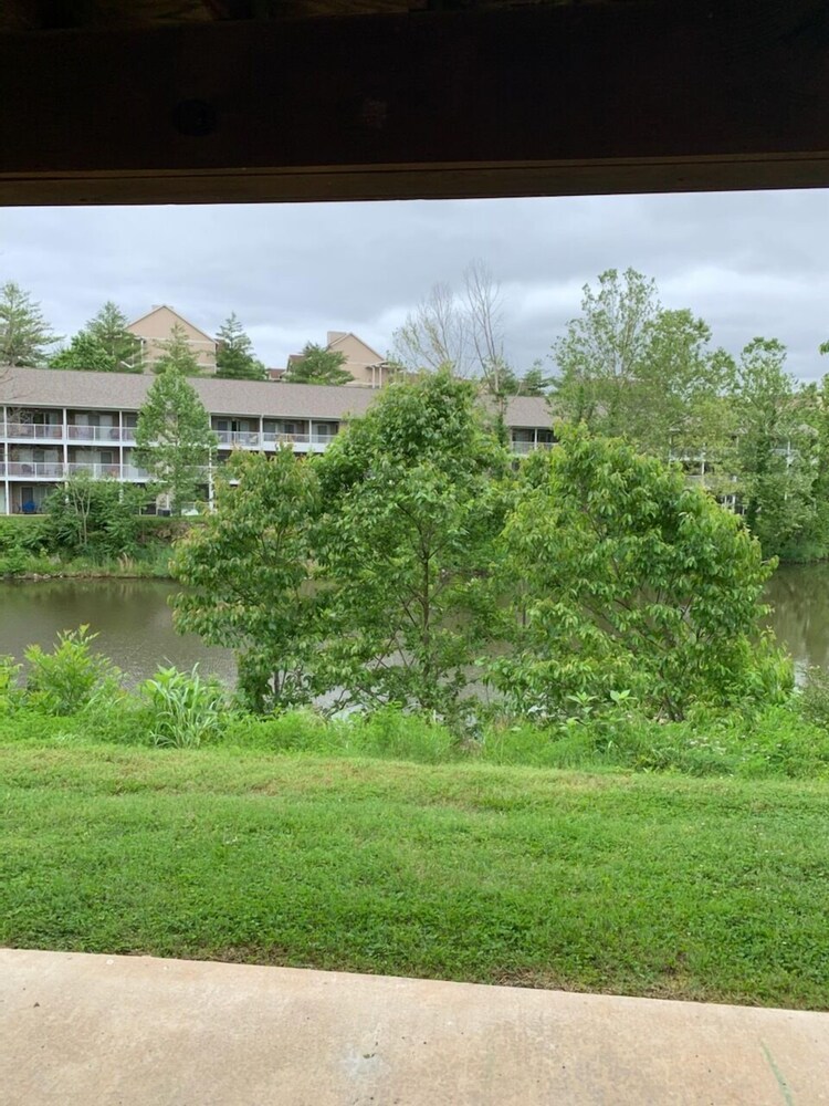 Scenic Condo-Quiet and Relaxing