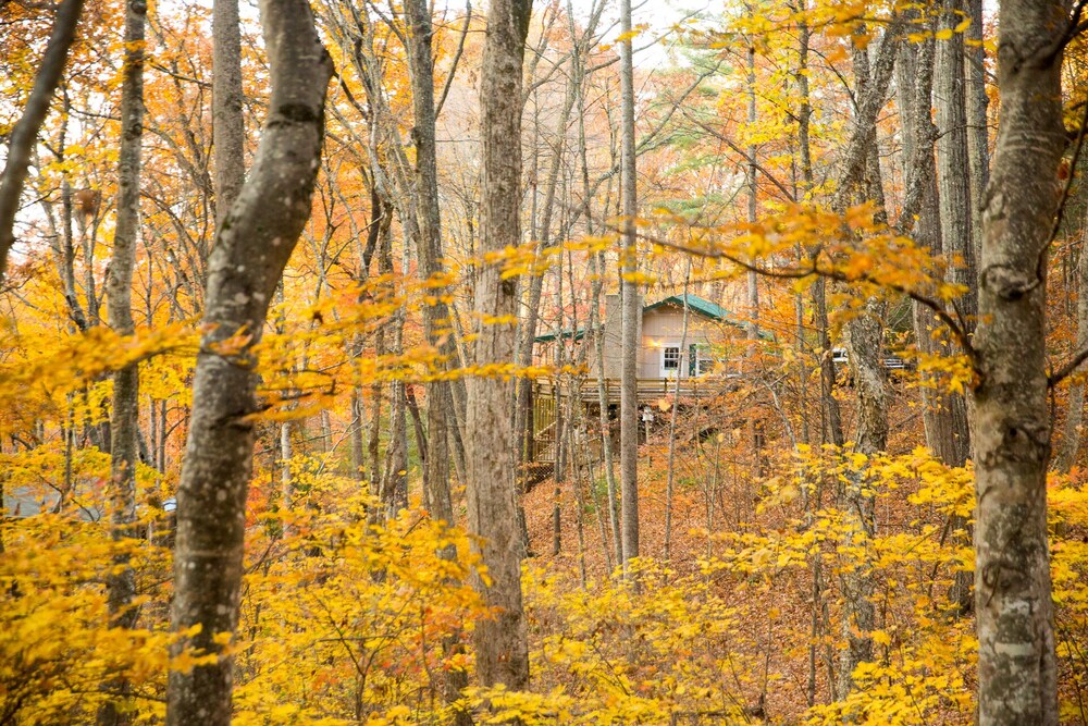 10 mins to Lake Junaluska and downtown Waynesville. Gorgeous view & Dog friendly