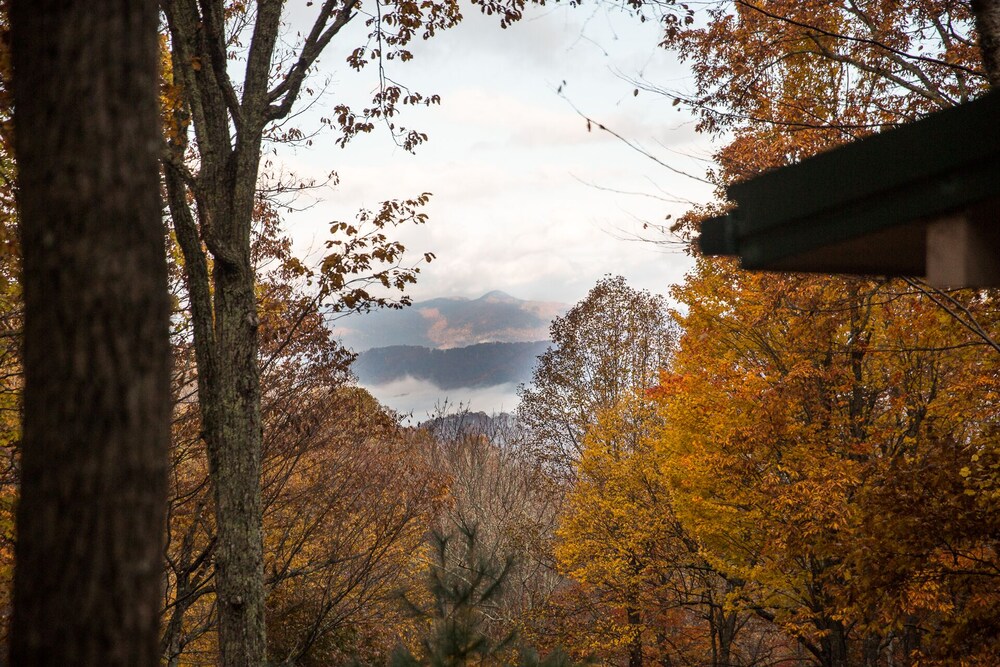 10 mins to Lake Junaluska and downtown Waynesville. Gorgeous view & Dog friendly