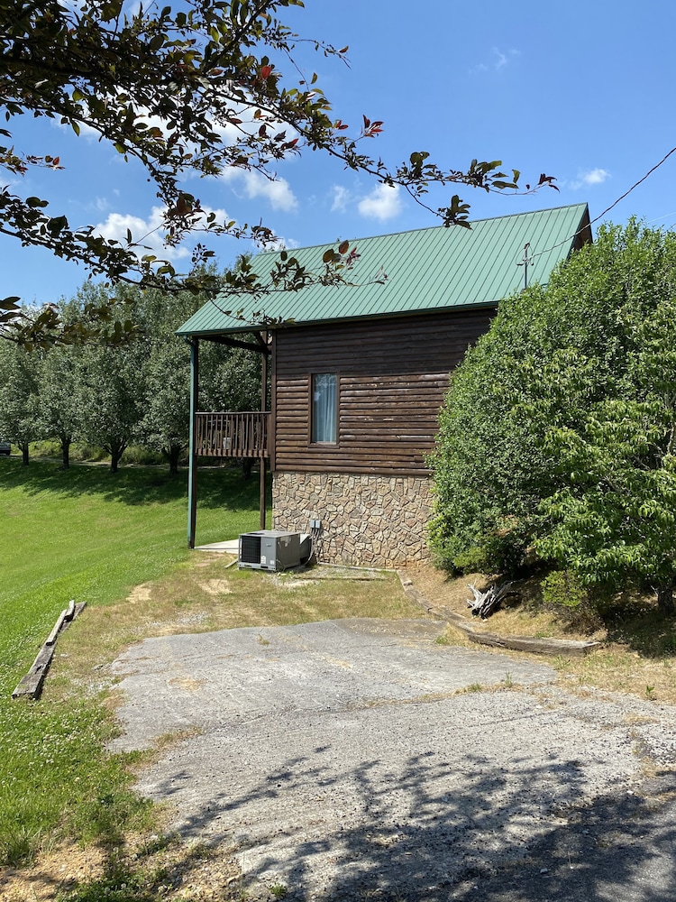 Bring the boat! 2 bedroom  cabin on Flat Creek on Douglas Lake with lake access