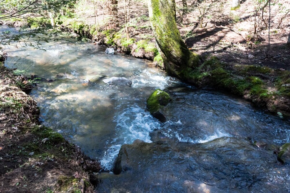 Creekside Hideaway at The Retreat at Deer Lick Falls