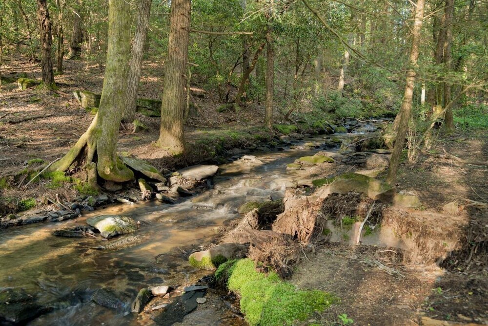 Creekside Hideaway at The Retreat at Deer Lick Falls