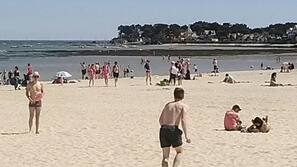 Nära stranden