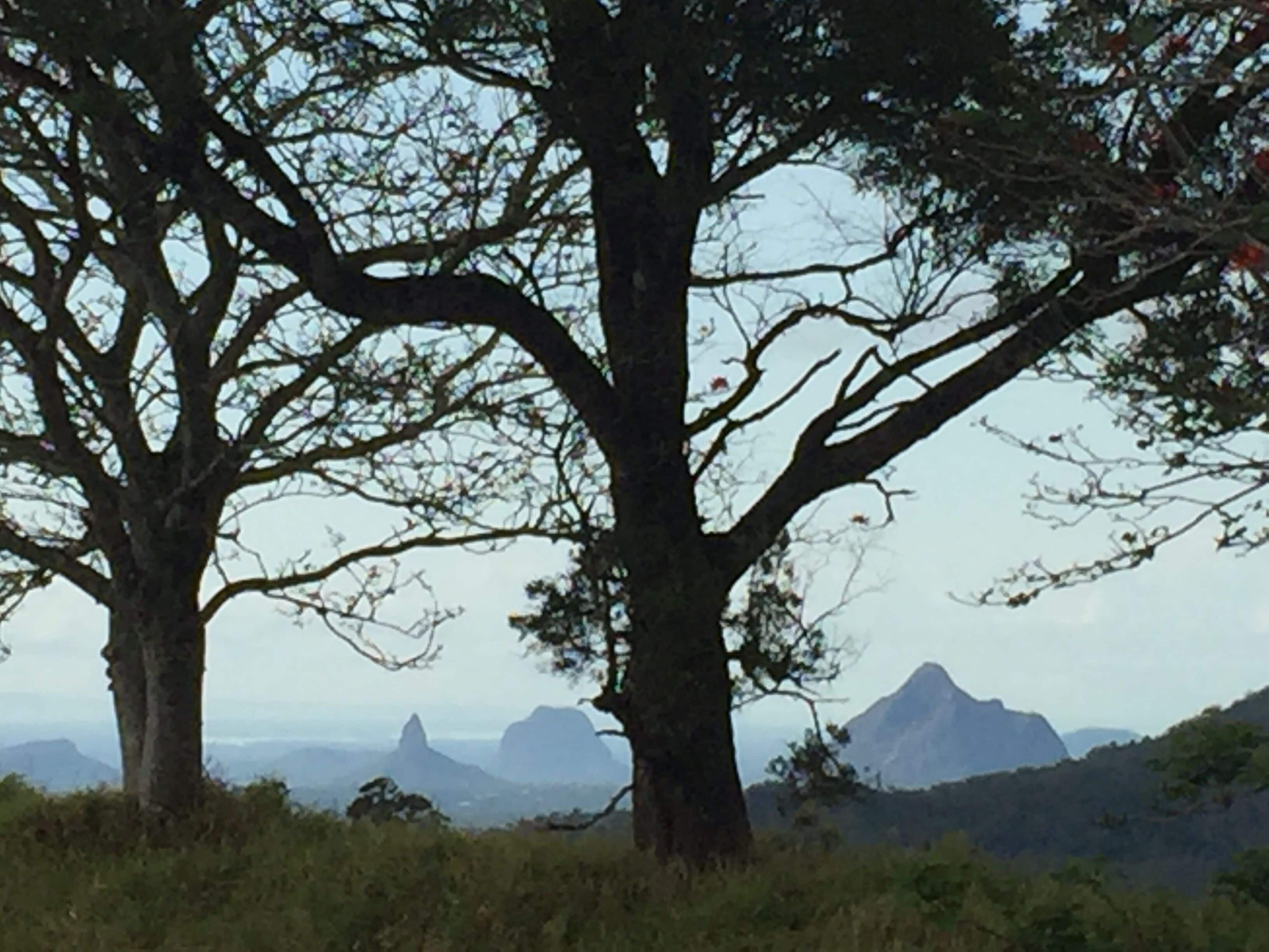 Scandinavian Cabin - Maleny - One Bedroom