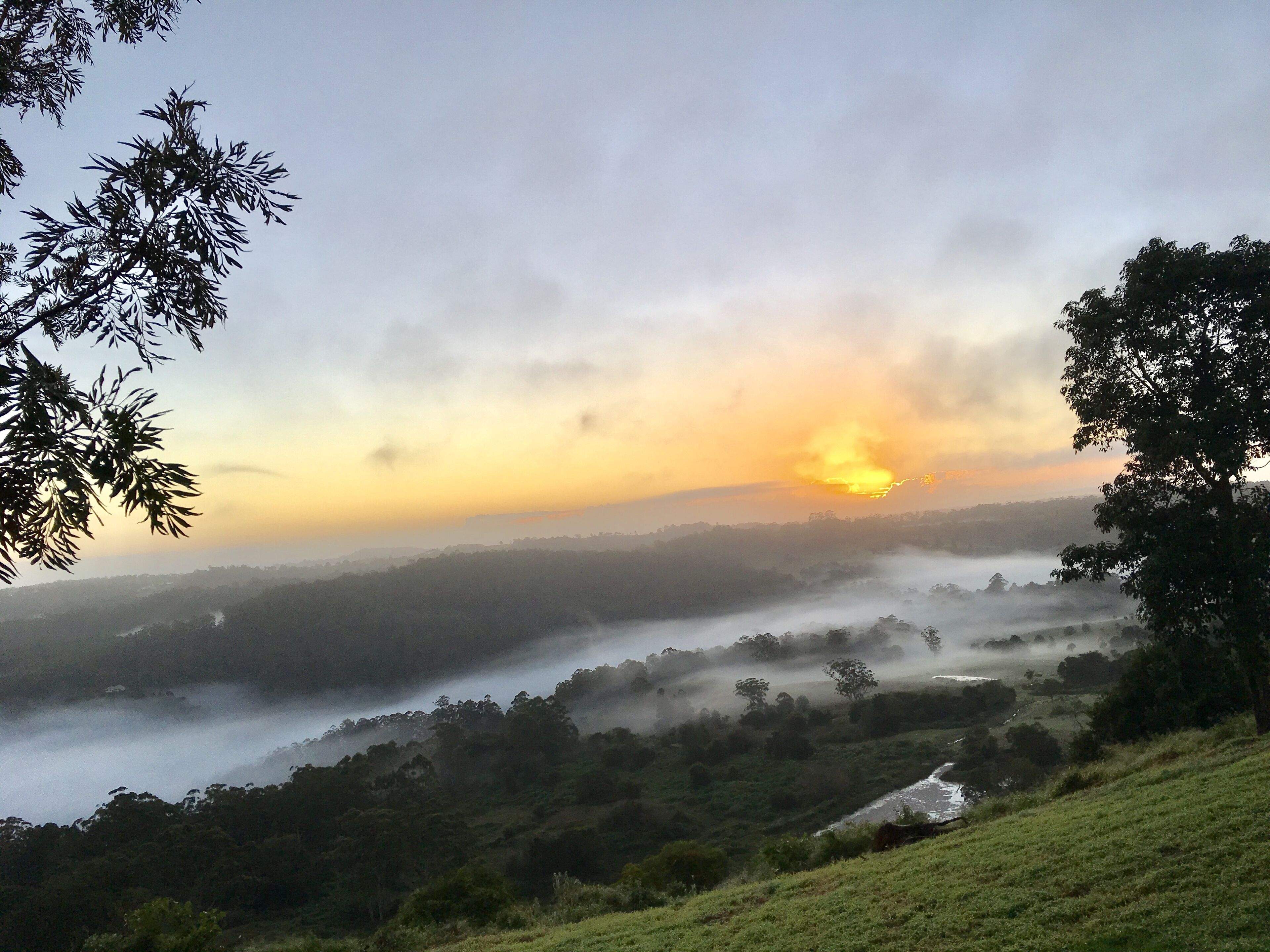 Scandinavian Cabin - Maleny - One Bedroom