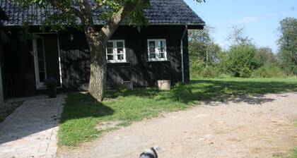 Teglgaarden bed and breakfast