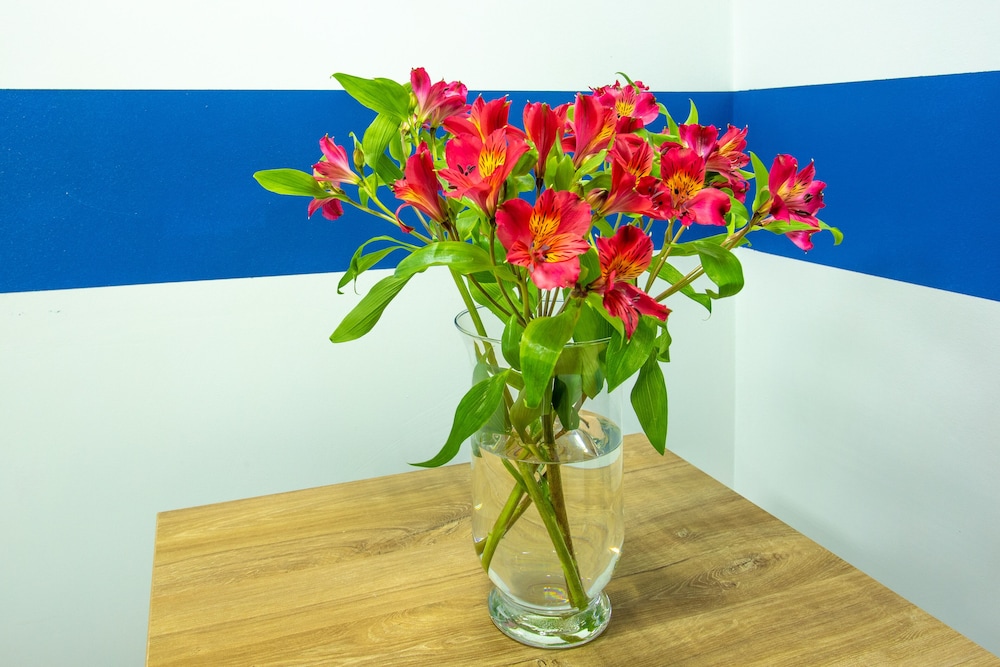 Photo - P2B hostel & bar