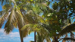 Beach nearby, beach umbrellas, beach towels