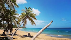 Beach nearby, beach umbrellas, beach towels