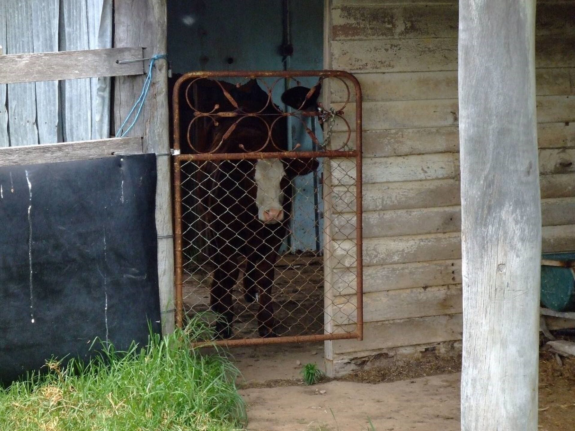 Escape to the Country - Enjoy the Firepit or Explore Magical Bunya Mountains