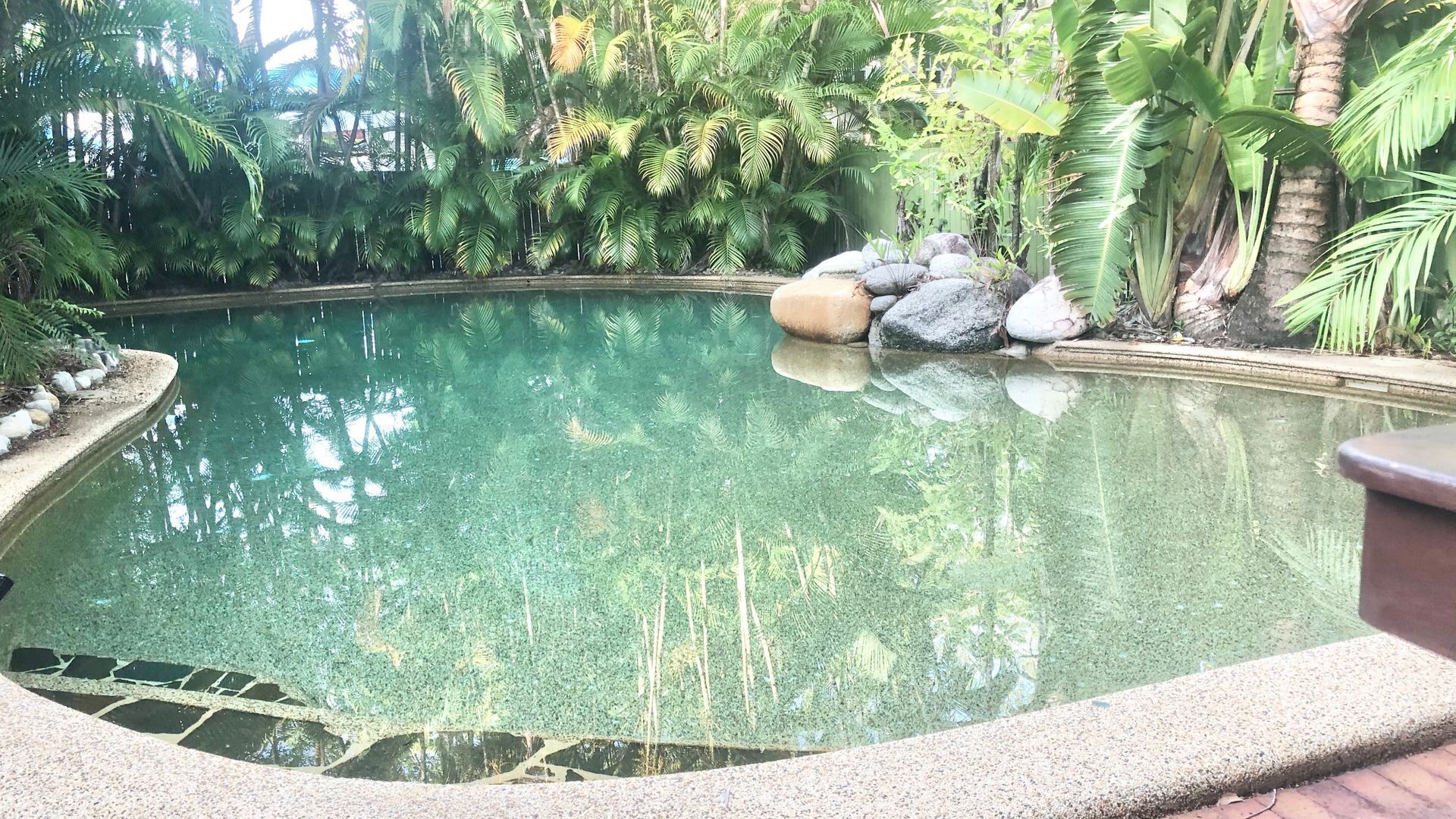 Palm Villas in Port #6