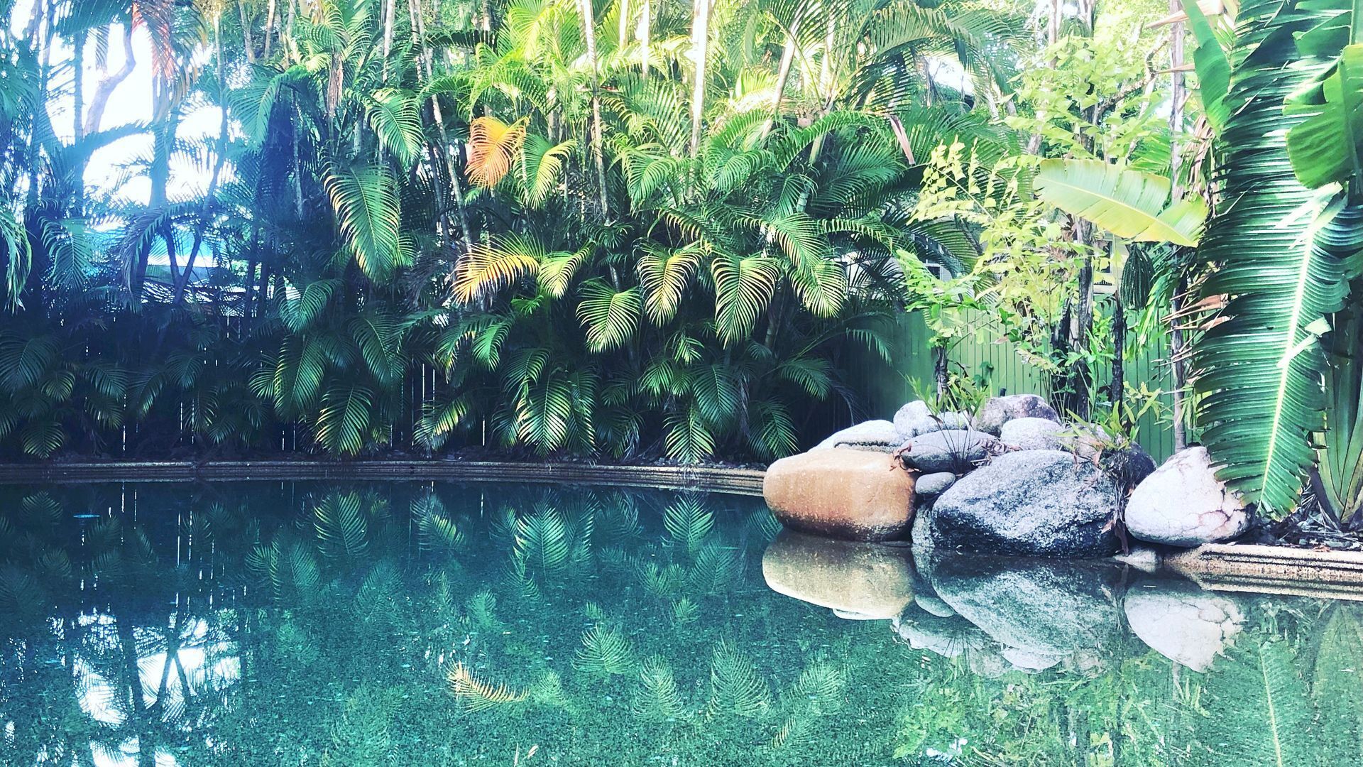 Palm Villas in Port #6