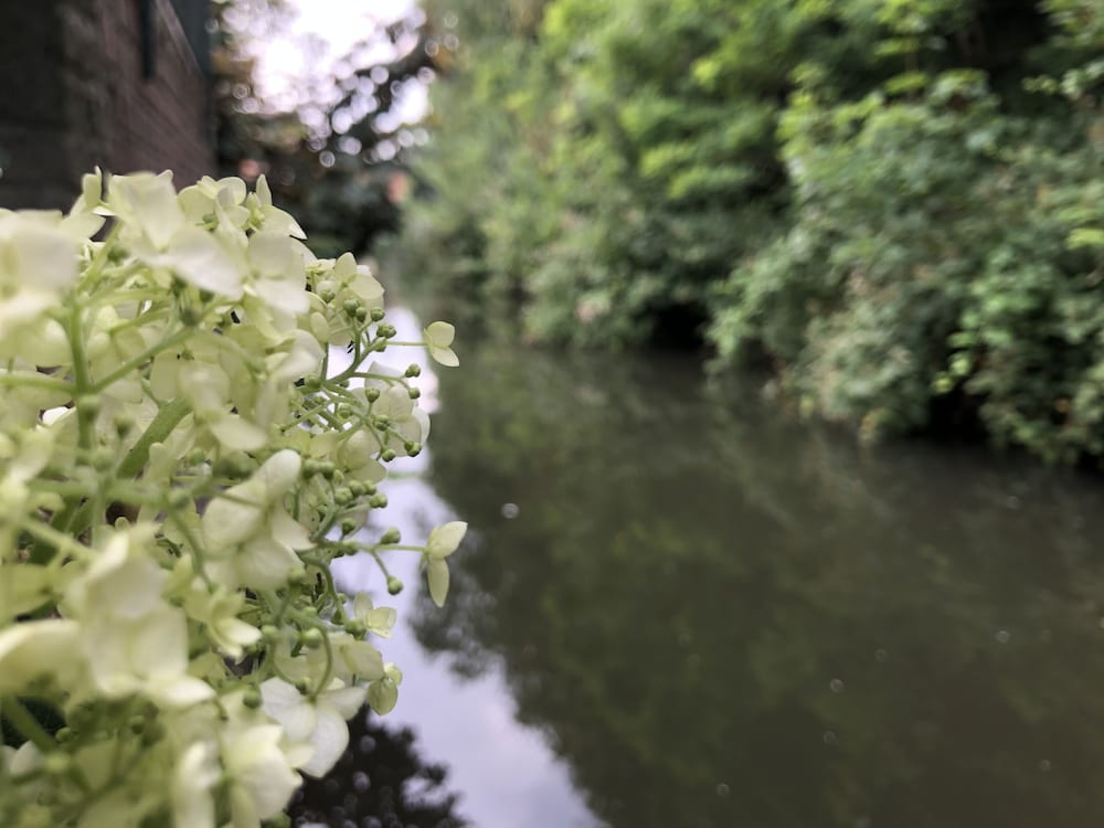 Foto - BRU-LAGOON Guesthouse