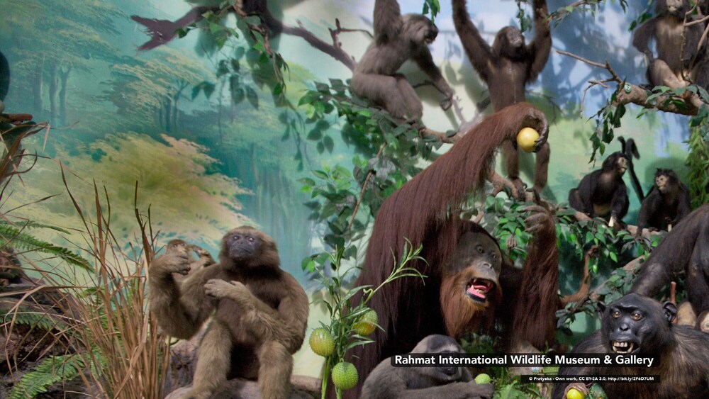 Photo - Glamour Hotel and Spa