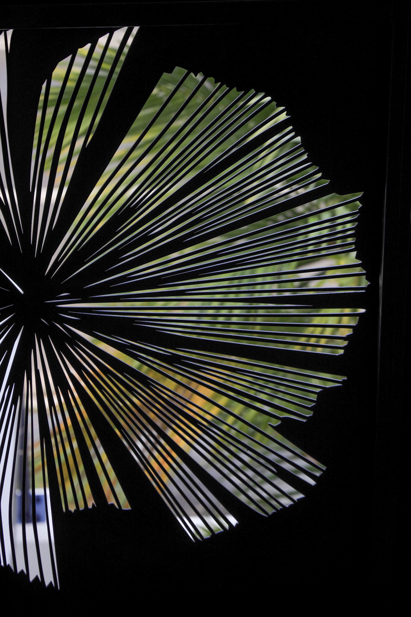 Valle Vista Luxury Apartments