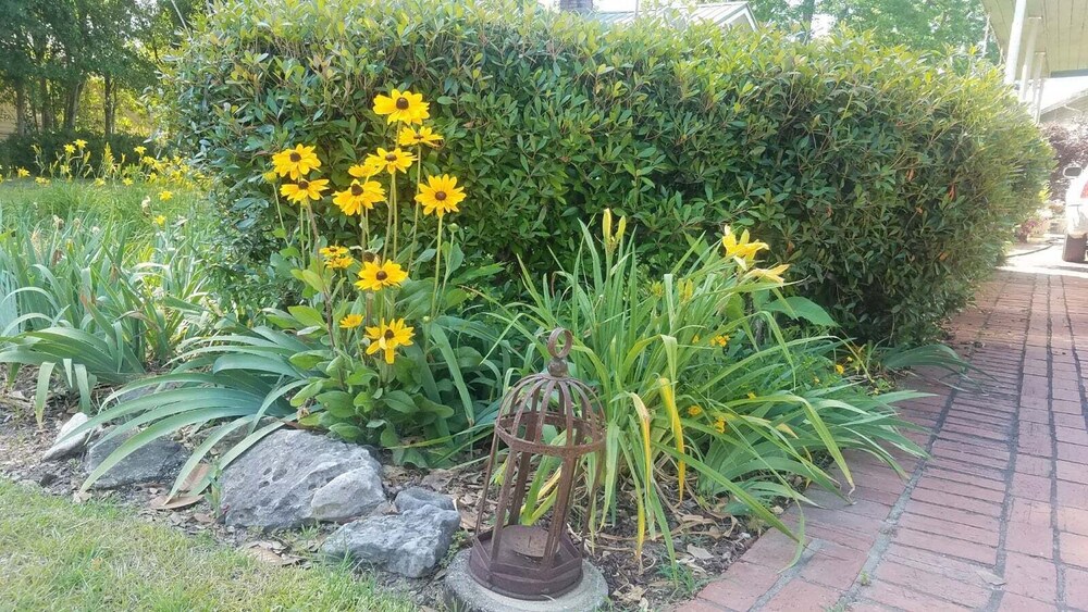 Rose’s Cottage is a Beautiful serene cottage nestled in the heart of