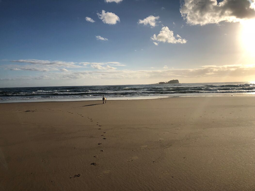 Pristine Beaches, Private Heated Pool and pet Friendly