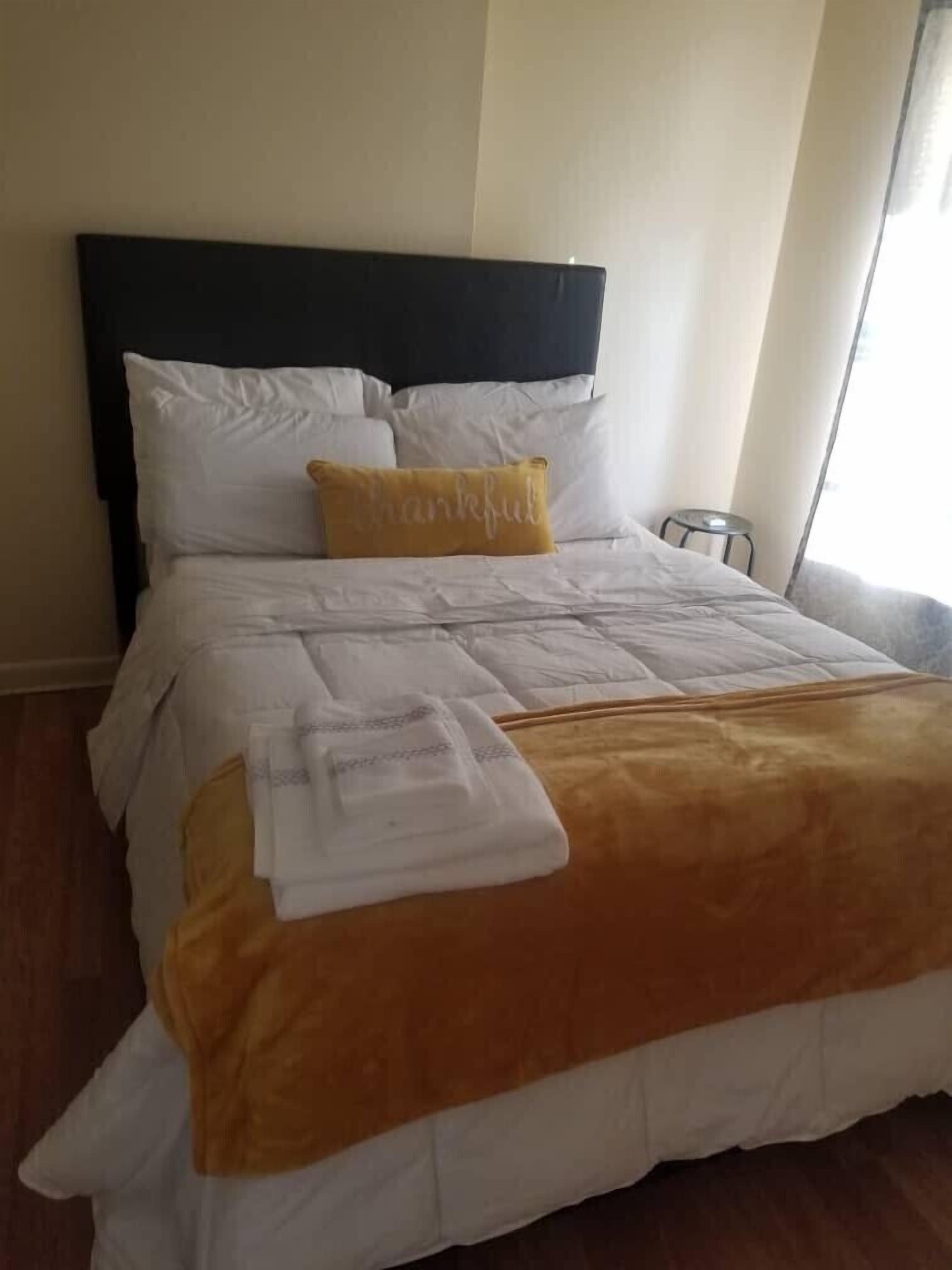 Special Discounts for Clean and Spacious Apartment Near New York State Museum in Albany, United States