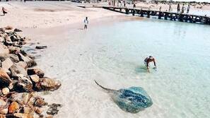 Beach nearby, white sand