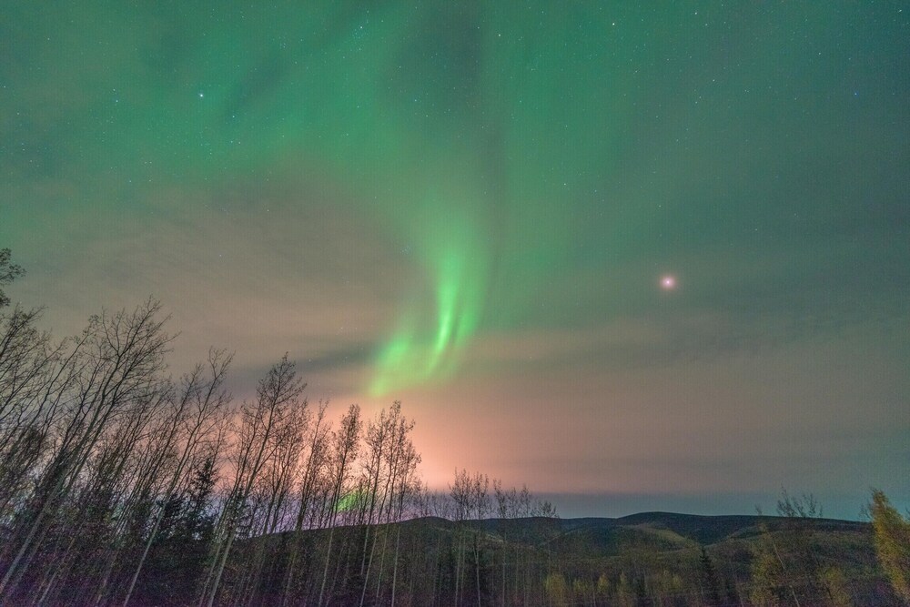 Escape to Birchwood Suite Fairbanks North Star Borough Vrbo